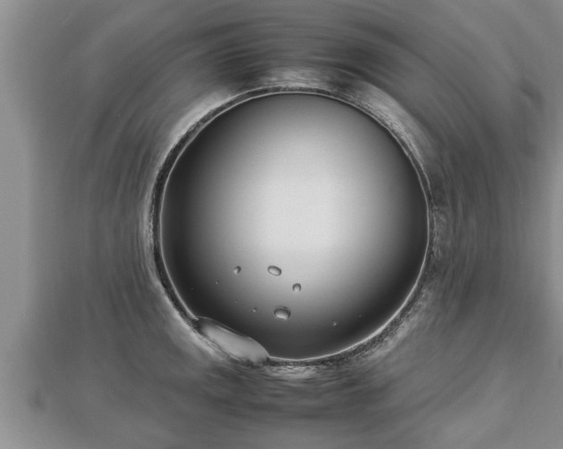 X0000112791141200908281501