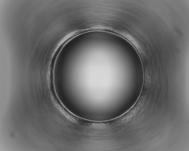 X0000112791142200908281501