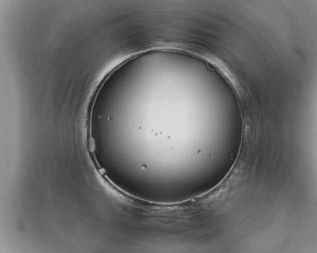 X0000112791143200908281501