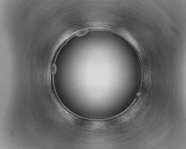 X0000112791144200908281501