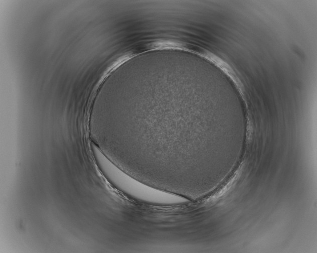 X0000112791145200908281501