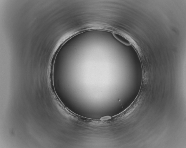 X0000112791146200908281501