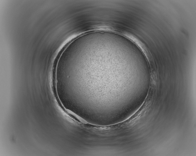 X0000112791147200908281501