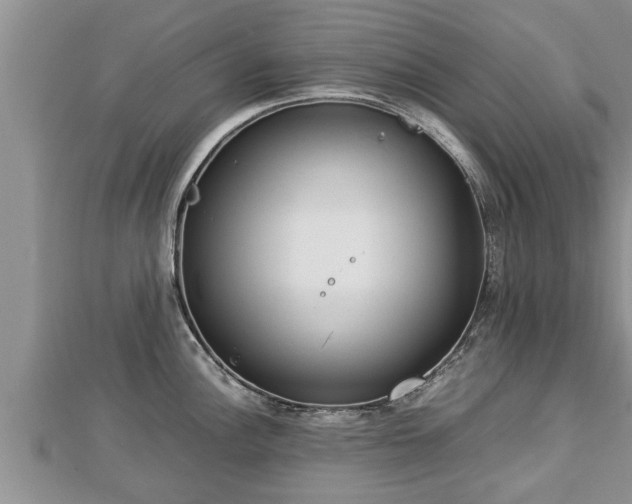 X0000112791148200908281501