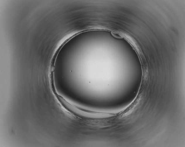 X0000112791149200908281501