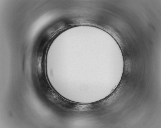 X0000112791150200908281501