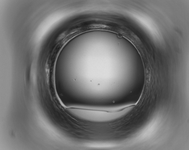 X0000112791151200908281501