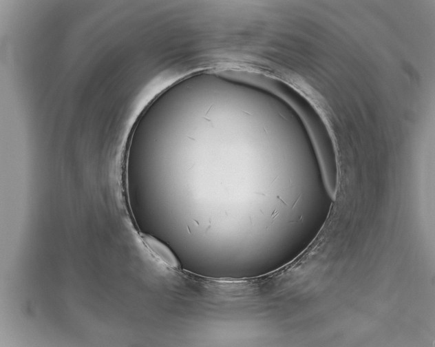 X0000112791152200908281501