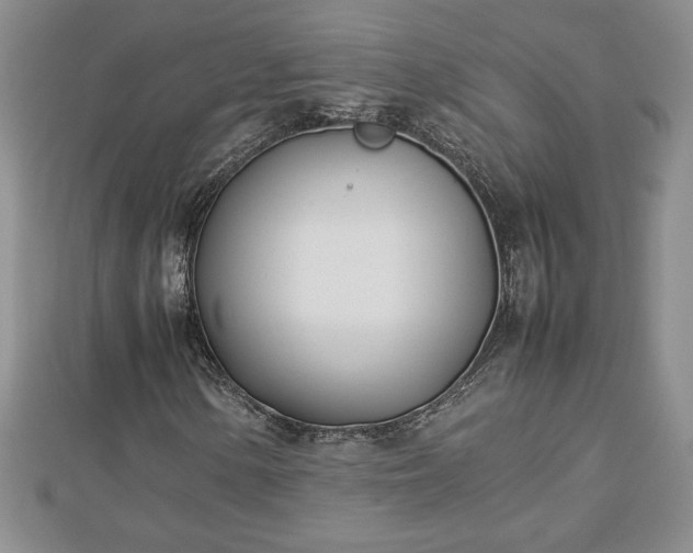 X0000112791154200908281500