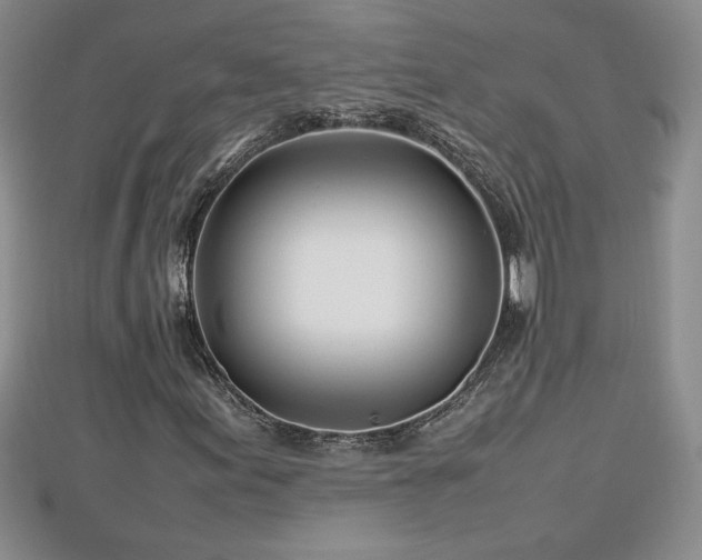 X0000112791155200908281500