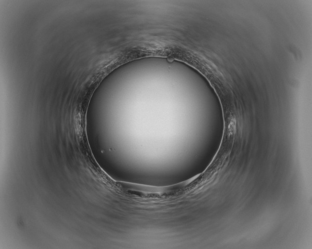 X0000112791156200908281500