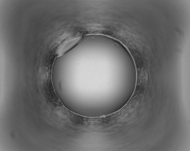 X0000112791157200908281500