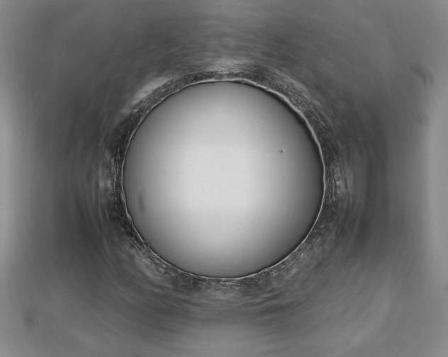 X0000112791158200908281500