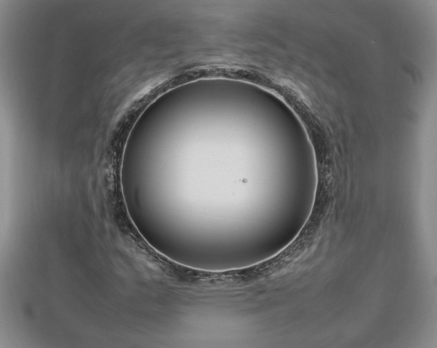 X0000112791159200908281500