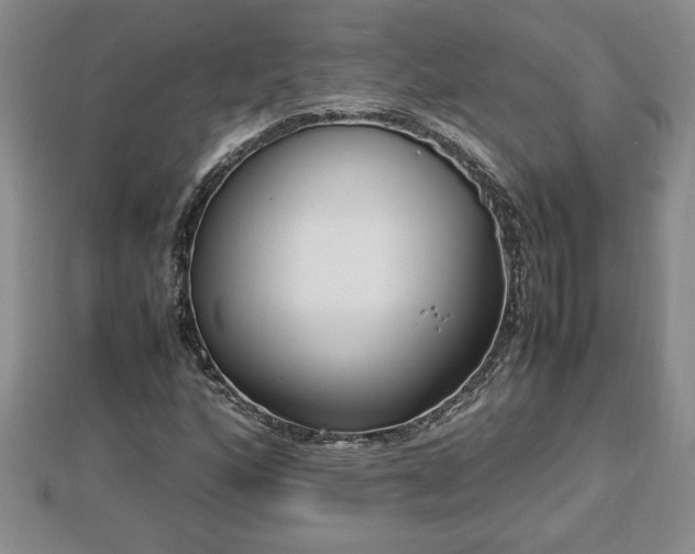 X0000112791160200908281500