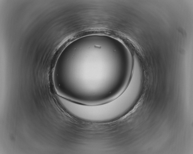 X0000112791162200908281500