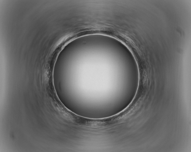 X0000112791163200908281500