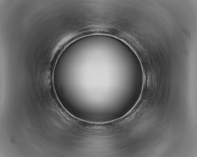 X0000112791164200908281500