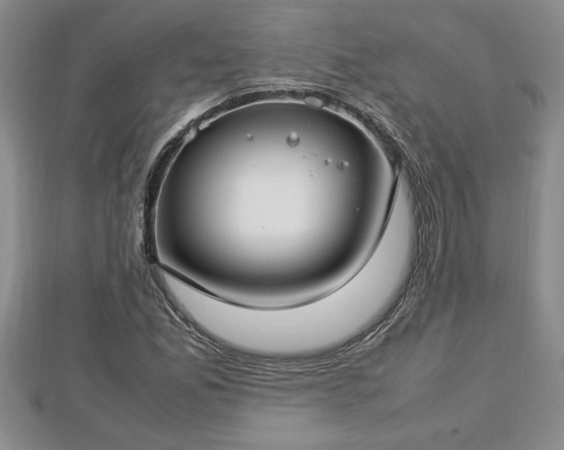 X0000112791165200908281500