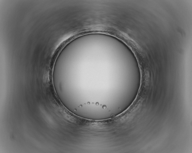 X0000112791166200908281500