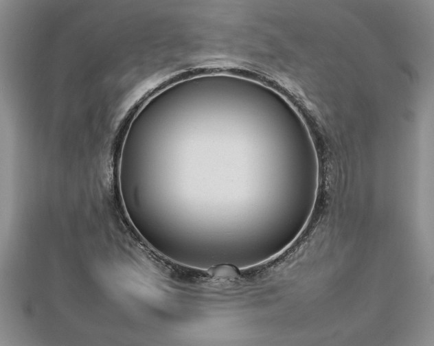 X0000112791167200908281500