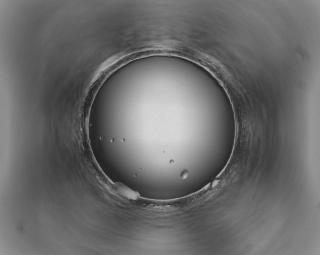 X0000112791168200908281500