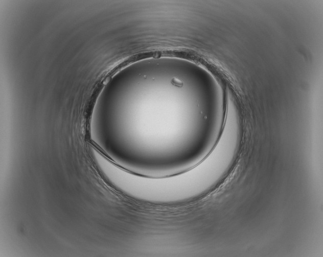 X0000112791169200908281500