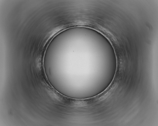 X0000112791170200908281500