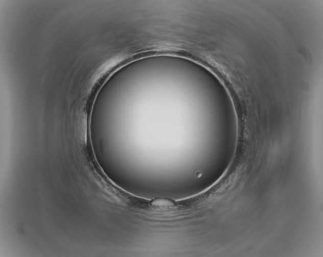 X0000112791171200908281500