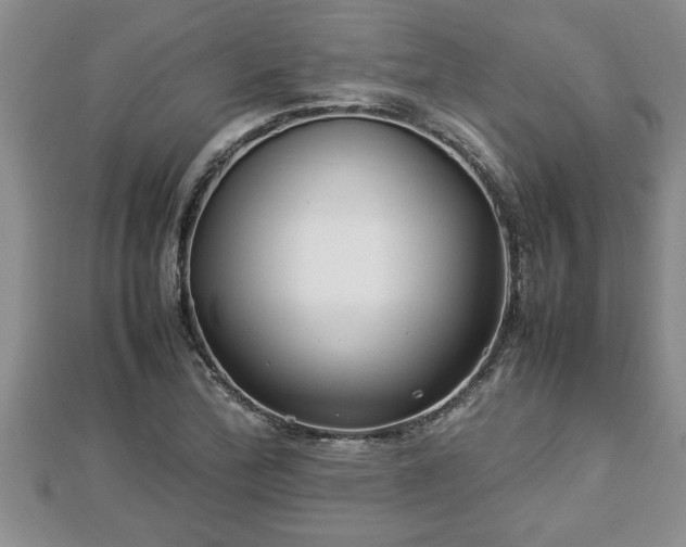 X0000112791172200908281500