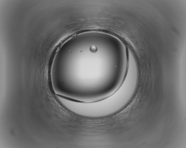 X0000112791173200908281500