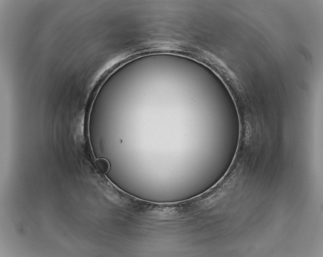 X0000112791174200908281500