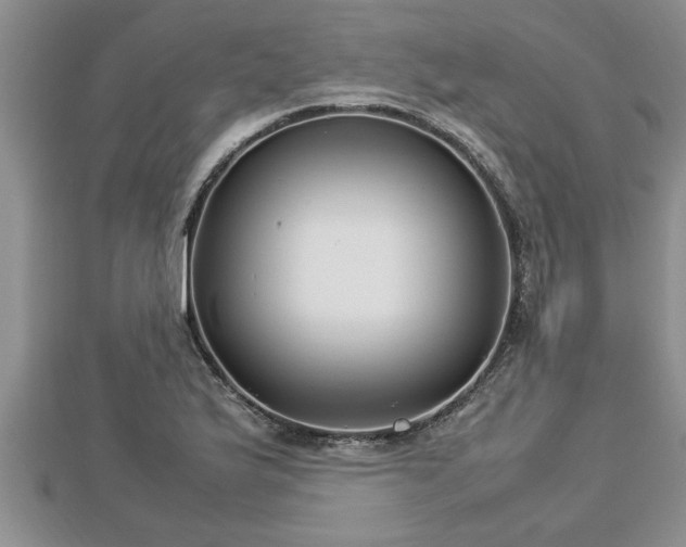 X0000112791175200908281500