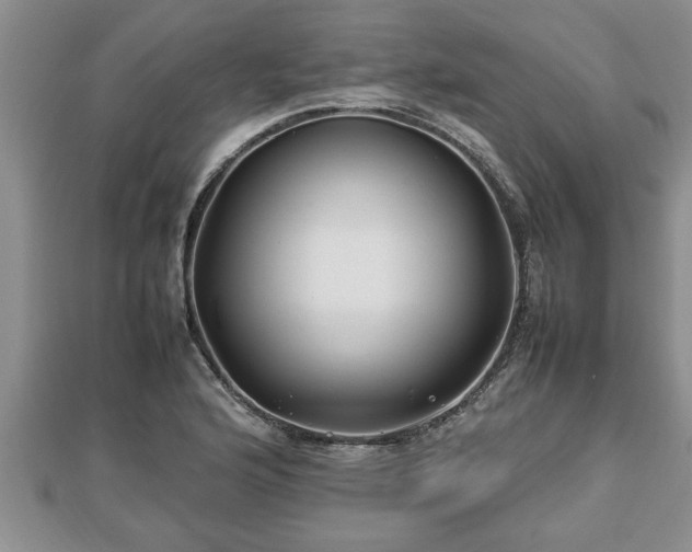 X0000112791176200908281500