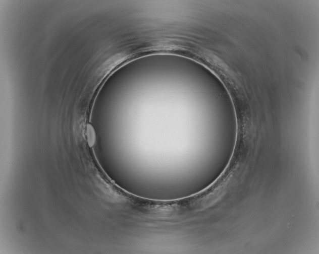 X0000112791177200908281500