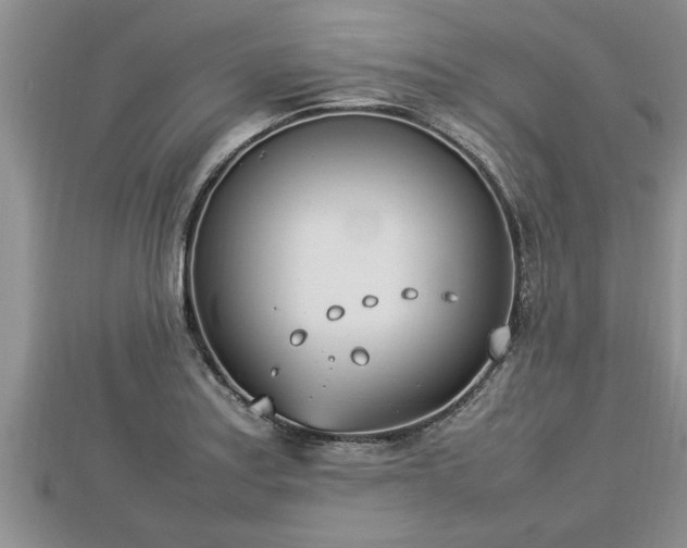 X0000112791179200908281500