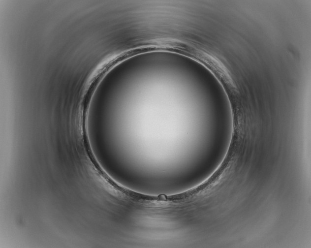 X0000112791180200908281500