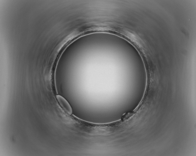 X0000112791181200908281500