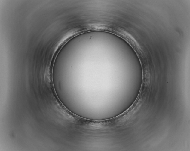 X0000112791182200908281500