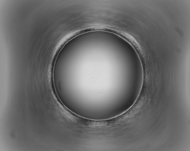 X0000112791183200908281500