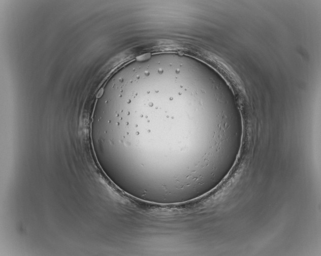 X0000112791185200908281500