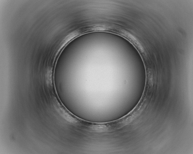 X0000112791186200908281500