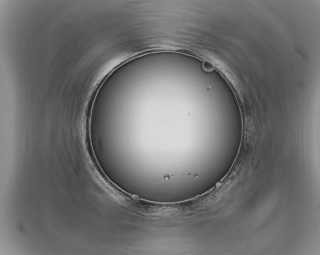 X0000112791187200908281500