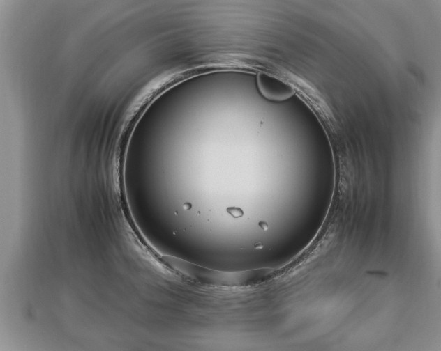 X0000112791188200908281500