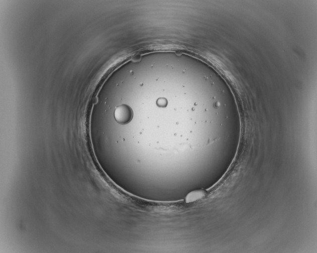 X0000112791189200908281500