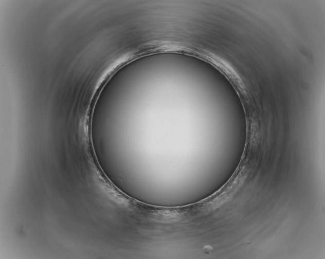 X0000112791190200908281500