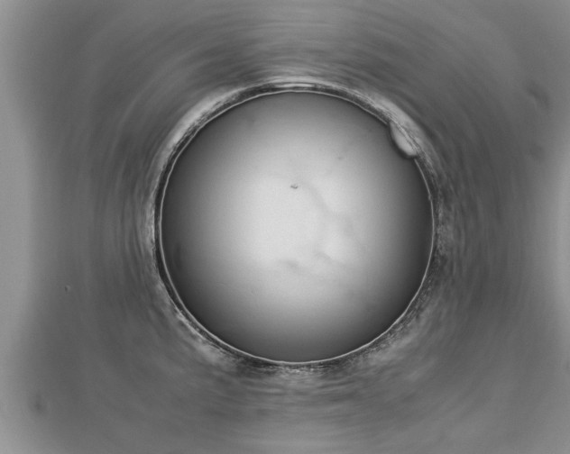 X0000112791191200908281500