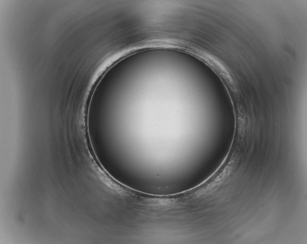 X0000112791192200908281500