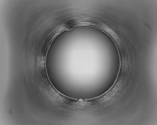 X0000112791193200908281500