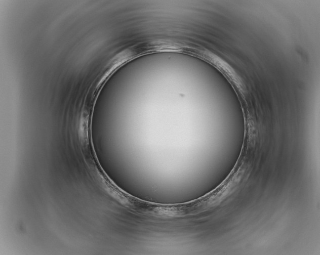 X0000112791194200908281500